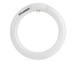 Sylvania 22w 840 T9 Circular Fluorescent Tube - Cool White