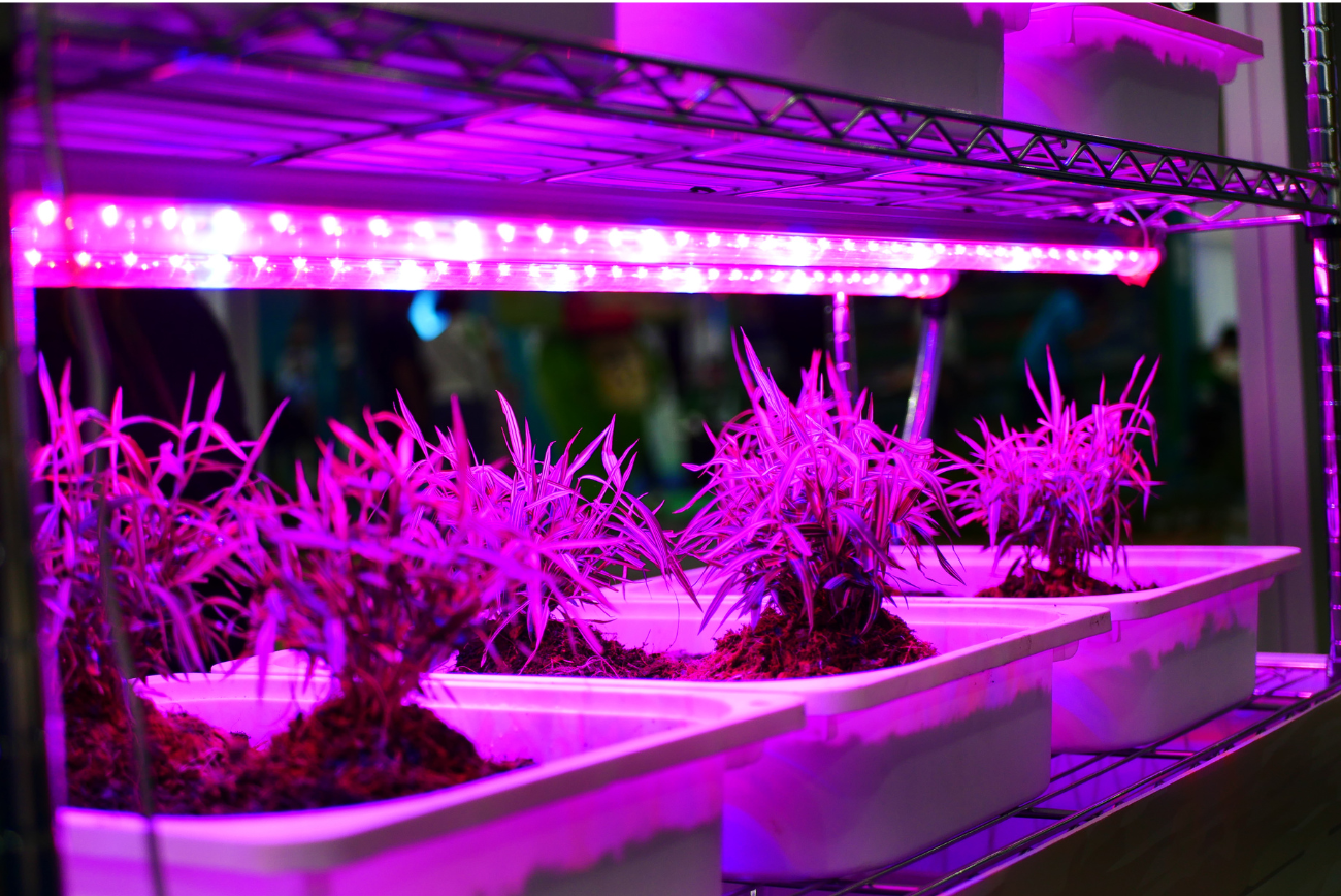 Grow Lights Example