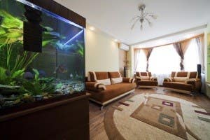 aquarium in a roomm