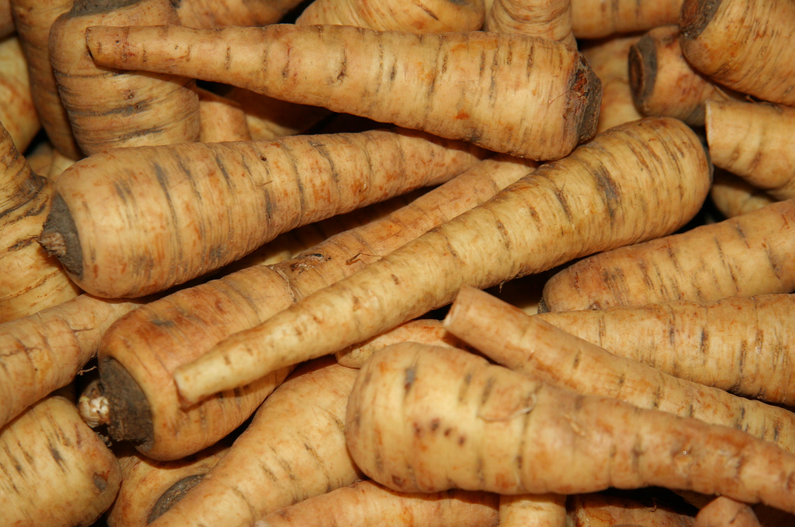 parsnips